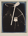 Champs délicieux (Delicious Fields), Man Ray (American, Philadelphia, Pennsylvania 1890–1976 Paris), Portfolio of twelve gelatin silver prints